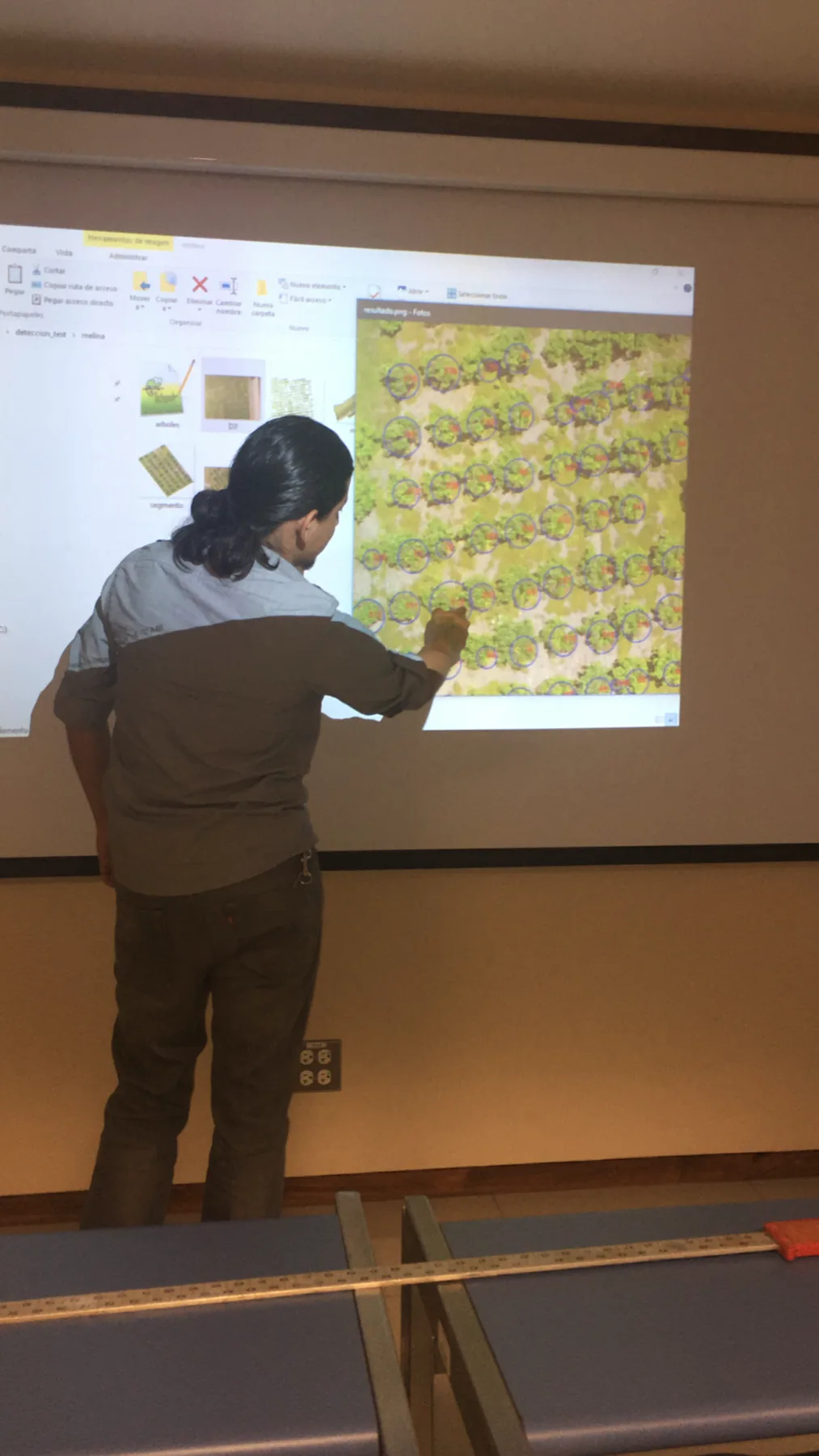 A graduation-project student presenting the tree-detection results